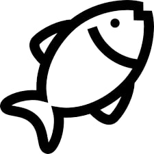 Câu cá