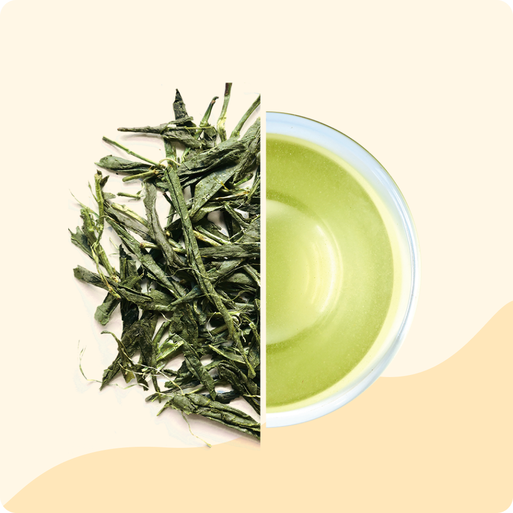 Organic Bancha